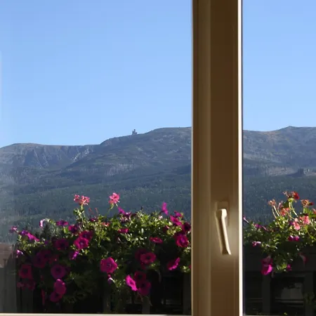 Oda ve Kahvaltı Orchidea