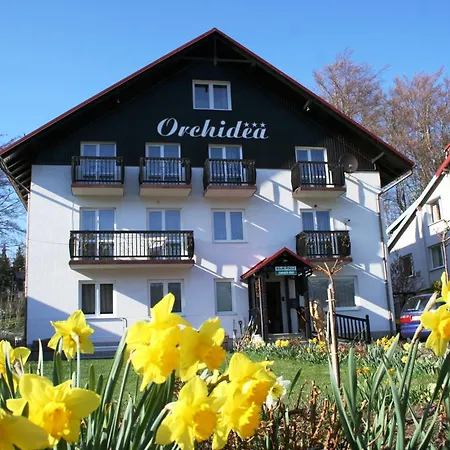 Orchidea Szklarska Poreba