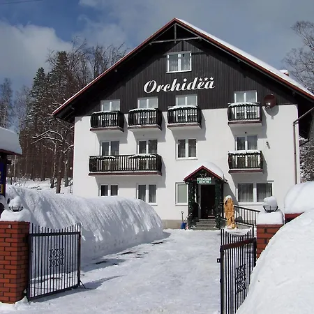 Orchidea Szklarska Poreba