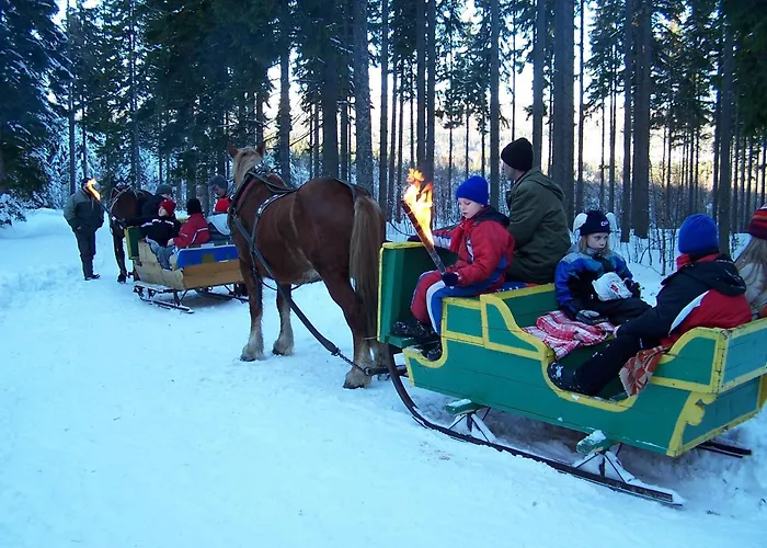 Bed & Breakfast Orchidea Szklarska Poreba